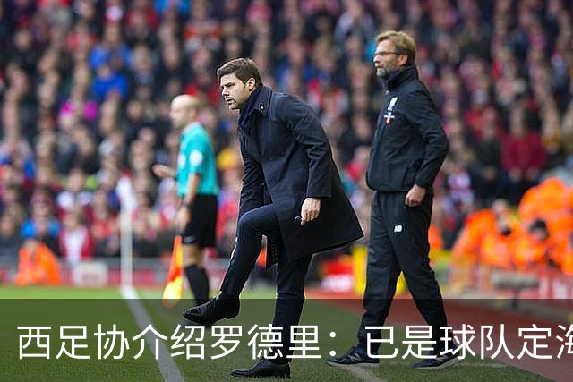 西足协介绍罗德里：已是球队定海神针，带领年轻球员向世界杯冲击